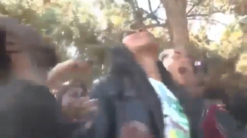 Ohhhhhh Funny Meme Video Download